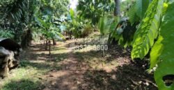 Se Vende Propiedad De Inversión en la CA-13 Tela Atlántida Honduras